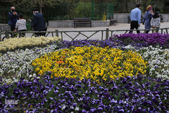 نوروز بهاری تهران