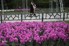 نوروز بهاری تهران