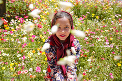 عطر خوش بهار نارنج شیراز