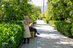 عطر خوش بهار نارنج شیراز