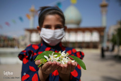 عطر خوش بهار نارنج شیراز