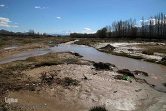 شکوفه های بهاری و طبیعت زیبای شهرستان اهر