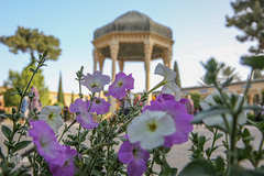 نوروز زرد حافظیه‎