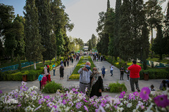 نوروز زرد حافظیه‎