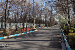 روز طبیعت در زنجان