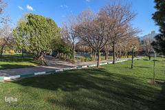 روز طبیعت در زنجان