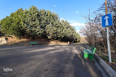 روز طبیعت در زنجان