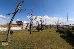 روز طبیعت در زنجان