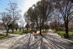 روز طبیعت در زنجان