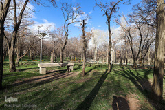 روز طبیعت در زنجان