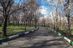 روز طبیعت در زنجان