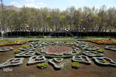 باغ گل «لاله» در بوستان شهید مصطفی چمران کرج