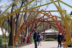 باغ گل «لاله» در بوستان شهید مصطفی چمران کرج