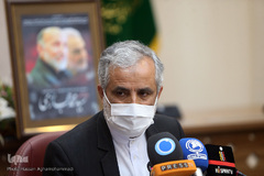 نصرت‌الله لطفی، قائم مقام شورای هماهنگی تبلیغات اسلامی