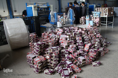 تولیدگران در بند زندان مرکزی قم