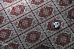 ماه مبارک رمضان در جهان