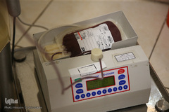 نذر خون در شب قدر