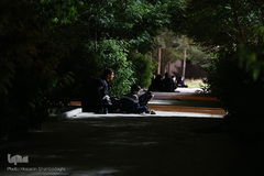 شب قدر در امامزاده جمال الدین قم