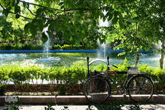 لاله های باغ گلستان تبریز