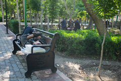 لاله های باغ گلستان تبریز