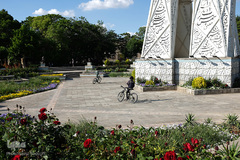 لاله های باغ گلستان تبریز