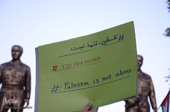 تبریز حامی فلسطین‎