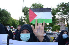 تبریز حامی فلسطین‎