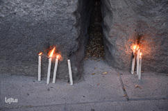 تبریز حامی فلسطین‎