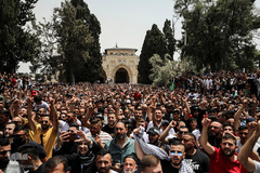 جشن پیروزی مقاومت مردم فلسطین