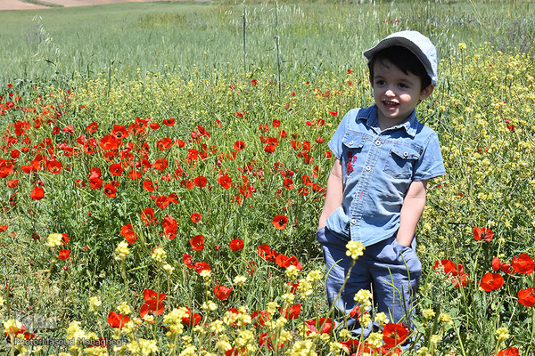 طبیعت بهاری کالپوش