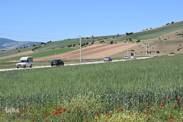 طبیعت بهاری کالپوش
