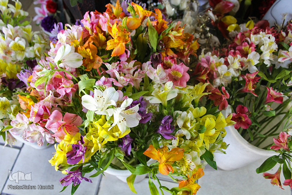 پریشانی بازار گل بیرجند بدلیل شیوع ویروس کرونا