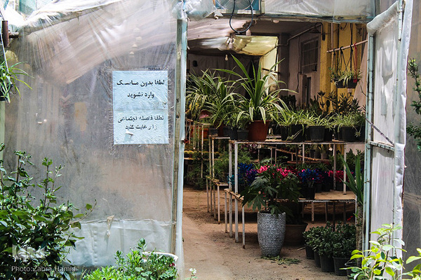 پریشانی بازار گل بیرجند بدلیل شیوع ویروس کرونا