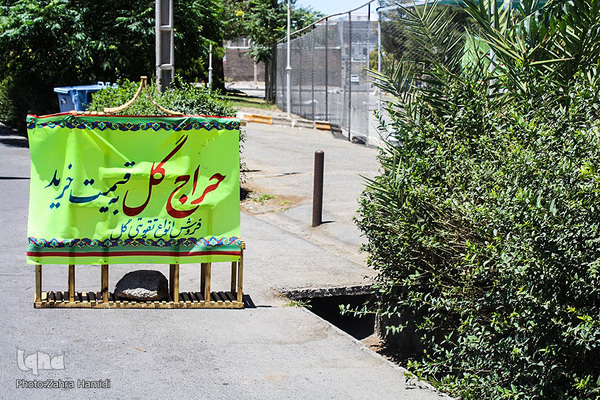 پریشانی بازار گل بیرجند بدلیل شیوع ویروس کرونا