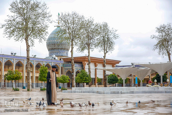 به مناسبت سالروز بزرگداشت شاهچراغ(ع)