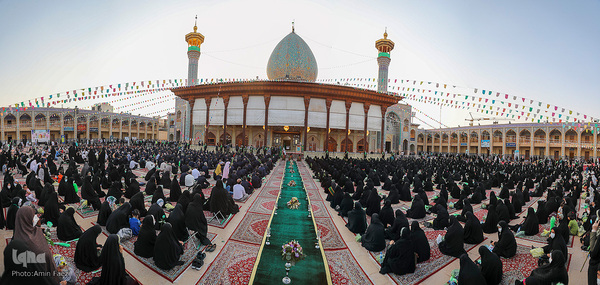 گلباران حرم مطهر امین ولایت