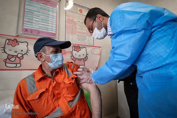 واکسیناسیون پاکبانان های شهرداری زنجان 