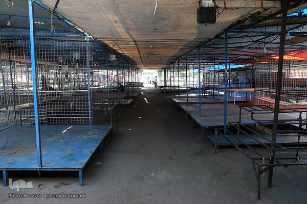 بازارچه دستفروشان در پارک سوار آزادی