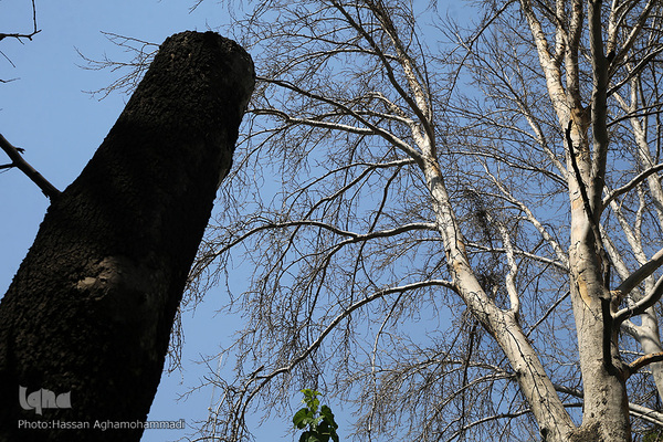 اولین روز تابستان۱۴۰۰ در پایتخت