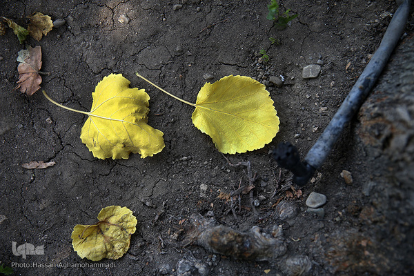 اولین روز تابستان۱۴۰۰ در پایتخت