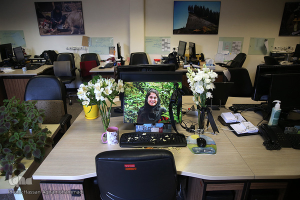 محل کار مهشادکریمی، خبرنگار حوزه محیط زیست ایسنا