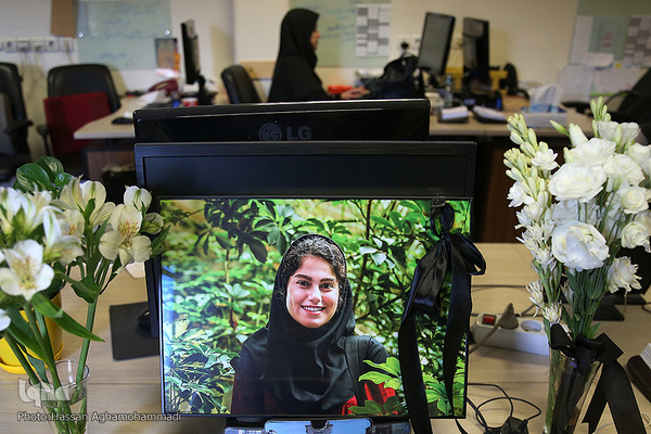 محل کار مهشادکریمی، خبرنگار حوزه محیط زیست ایسنا