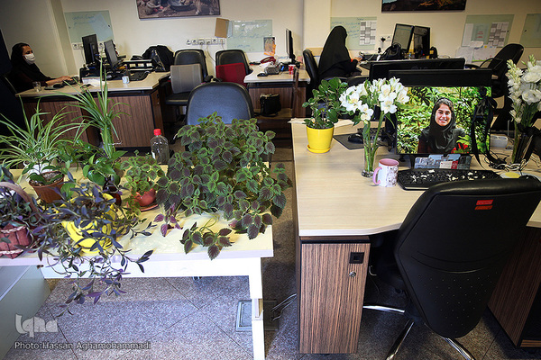 محل کار مهشادکریمی، خبرنگار حوزه محیط زیست ایسنا