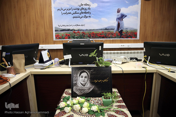 محل کار ریحانه یاسینی، خبرنگار حوزه محیط زیست ایرنا