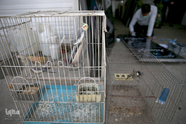 بازار سنگ قبر بهشت زهرای تهران