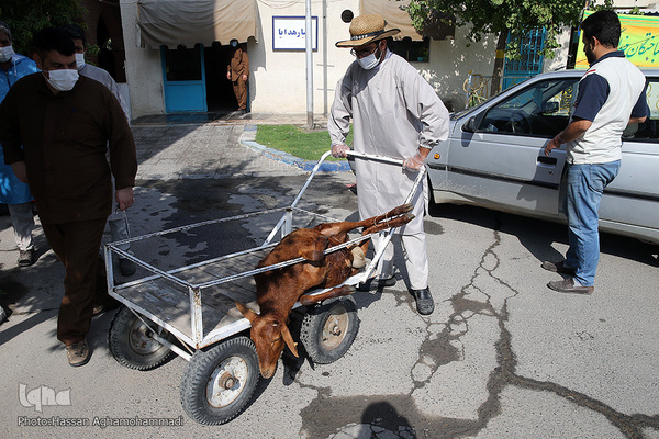 عید قربان در آسایشگاه کهریزک