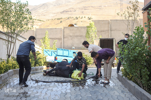 سفره رنگین نیازمندان در عید قربان به دست فالورهای هم نمک