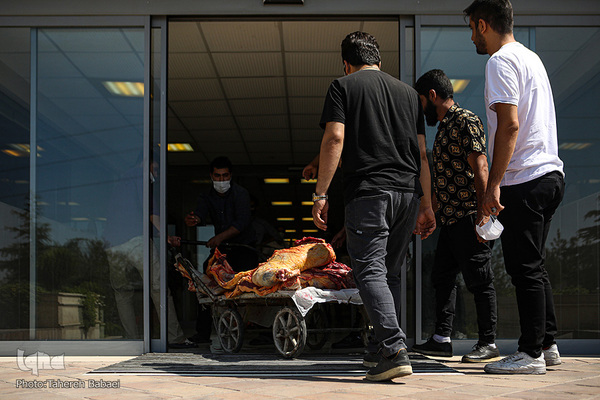 سفره رنگین نیازمندان در عید قربان به دست فالورهای هم نمک