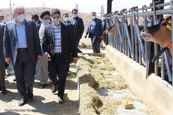 بازدید سورنا ستاری، معاون علمی و فنآوری رییس جمهور از پارک علم و فناوری البرز جهاددانشگاهی در استان البرز 