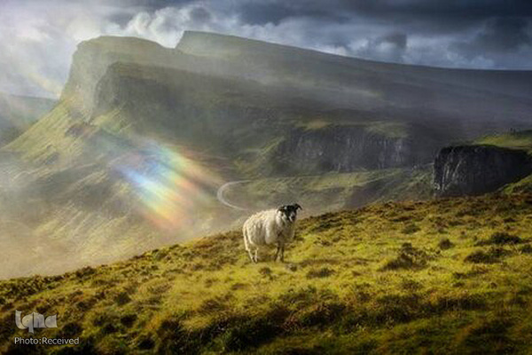 عکاس: Calvin Downes از اسکاتلند